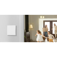 Розумний вимикач TP-Link Tapo S210 868 MHz 250V 4A (TAPO-S210) Diawest