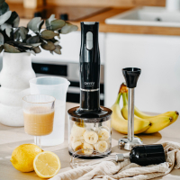 Блендер Camry CR 4630 Diawest