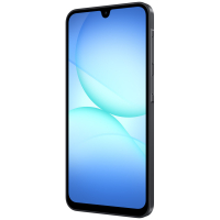Мобільний телефон Samsung Galaxy A17 LTE 8/256Gb Black (SM-A175FZKEEUC) Diawest