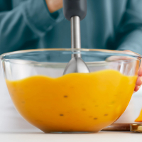 Блендер Philips HR2522/00 Diawest