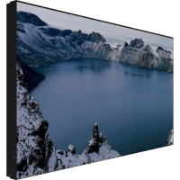 LCD панель Prestigio IDS LCD Video Wall 55 (PDSIN55WNN0L) Diawest