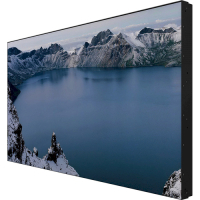 LCD панель Prestigio IDS LCD Video Wall 55 (PDSIN55WNN0L) Diawest