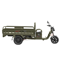 Електробайк 2E TCG8 зелений (2EESTCG8PLUS) Diawest