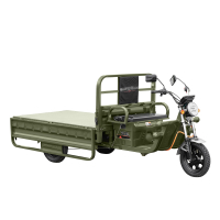 Електробайк 2E TCG8 зелений (2EESTCG8PLUS) Diawest