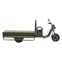 Електробайк 2E TCG8 зелений (2EESTCG8PLUS) Diawest