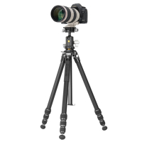 Штатив Vanguard VEO 5 264AB-160S (DAS303045) Diawest