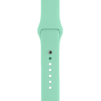 Ремінець до смарт-годинника Armorstandart Sport Band (3 Straps) для Apple Watch 49/46/45/44/42 (Series 1-3) Succulent (ARM65086) Diawest