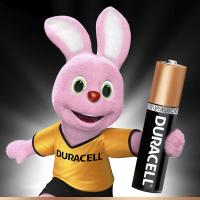 Батарейка Duracell AAA MN2400 LR03 * 2 (5000394058170 / 81484984) Diawest