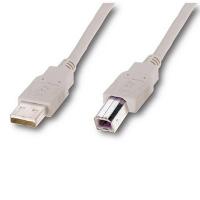 Кабель USB;  разъем1: USB тип А вилка;  разъем2: USB тип В вилка;  длина: 3 м Diawest