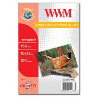 Бумага для принтера/копира WWM 10x15 (G180.F100) Diawest