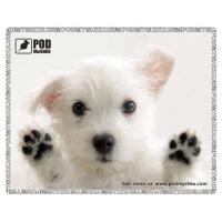 Коврик для миші Pod Mishkou Лапы вверх Diawest