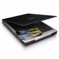 Сканер Epson Perfection V19 (B11B231401) Diawest