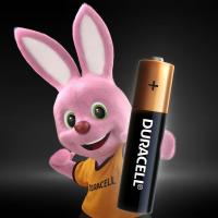 Батарейка Duracell AAA MN2400 LR03 * 12 (5000394109254 / 81545432) Diawest