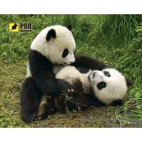 Коврик для миші Pod Mishkou Панды Diawest