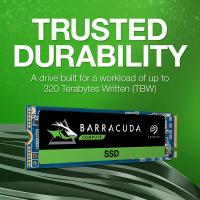 Внутрішній диск SSD Seagate ZP250CM3A001 Diawest