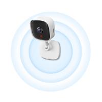 Камера видеонаблюдения TP-Link Tapo C100 (TAPO-C100) Diawest